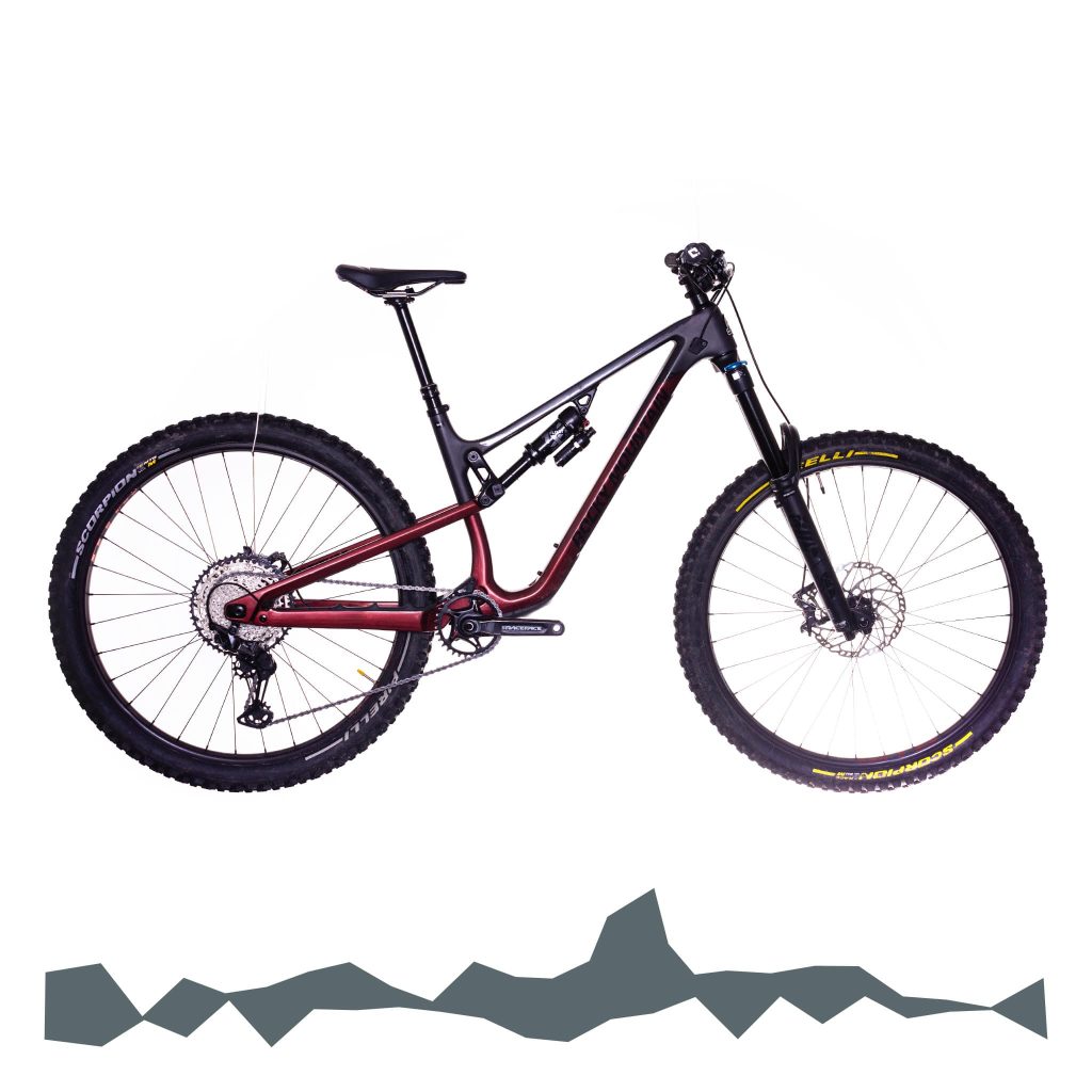 Rocky Mountain Altitude C50 (2023), Gr. M