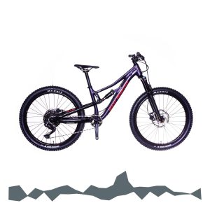 Occasion, Gebraucht, Kaufen, Mieten, Mountainbike, MTB